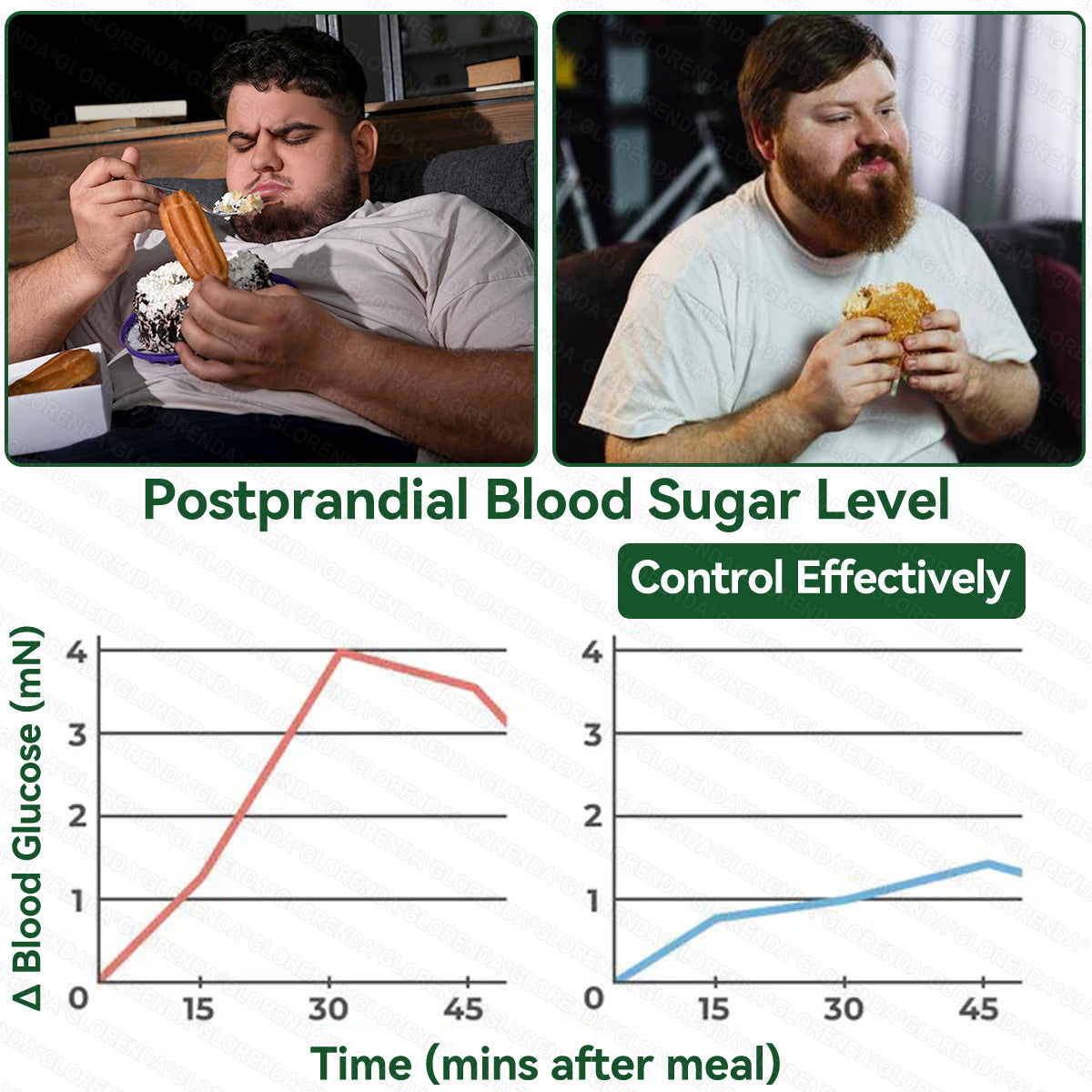 𝐆𝐋𝗢𝗥𝗘𝗡𝗗𝑨® 𝗕𝗲𝗿𝗯𝗲𝗿𝗶𝐧𝐞 𝐌𝐮𝐥𝗹𝘁𝗶-𝗣𝗮𝘁𝙝𝙬𝙖𝙮 𝙈𝒆𝒕𝒂𝒃𝒐𝒍𝐢𝐜 𝐏𝐚𝐭𝗰𝗵